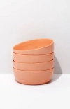 Fors Studio In Coral
