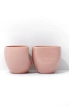 Fors Studio Large Cup In Rose