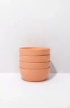 Fors Studio Medium Bowl In Coral