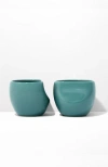 Fors Studio Medium Cup In Jade