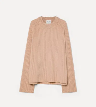 Forte Forte Forte_forte Sweaters In Brown