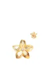 Forte Forte Forte_forte Frangipane Sculpture Earrings Accessories In Gold