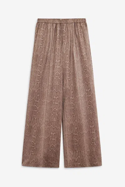 Forte Forte Pants In Brown