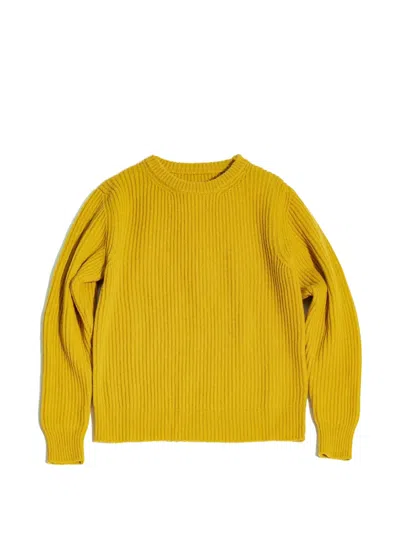 Fortela Alberto Ribbed Crew Neck Sweater In Yellow