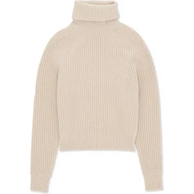 Fortela Cashmere Turtleneck Sweater In Neutral