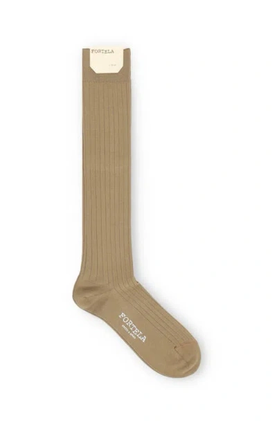 Fortela Bob Ribbed Knee High Socks In Brown