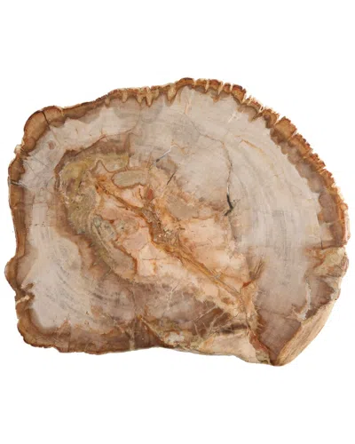 FORTESSA FORTESSA 12IN PETRIFIED WOOD PLATTER