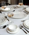Fortessa Blyss Bone China Dinnerware Collection In White