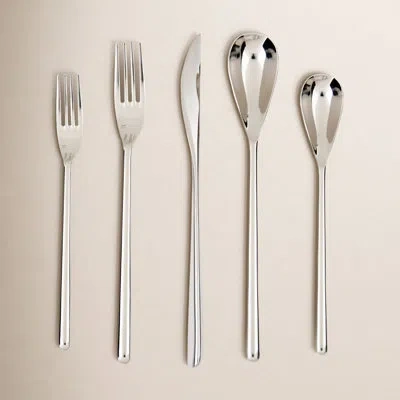 Fortessa Dragonfly 5 Piece 18/10 Stainless Steel Flatware Set, Service For 1