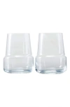 Fortessa Level Set Of 2 White Wine Glasses In Clear