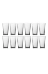 Fortessa Ornamento Horizon Set Of 12 Mixing Glasses In Clear
