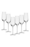 Fortessa Schott Zwiesel Bar Special Set Of 6 Sherry Glasses In Clear