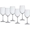 Fortessa Set Of 6 Outdoor Wine Glasses In Transparent