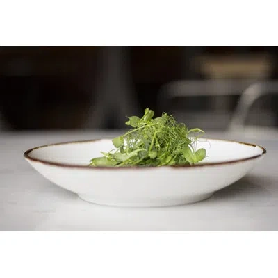 Fortessa Spice Salt 32 Oz. Serena Coupe Pasta Bowl In White