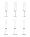 Fortessa Urbo Outdoor Clear Champagne Flute 6oz In Clear