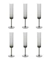 Fortessa Urbo Outdoor Clear Champagne Flute 6oz In Gray
