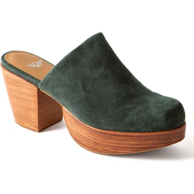 Fortress Ava Clog Mule In Pine Suede