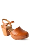 Fortress Willow Mary Jane Platform Clog In Brown