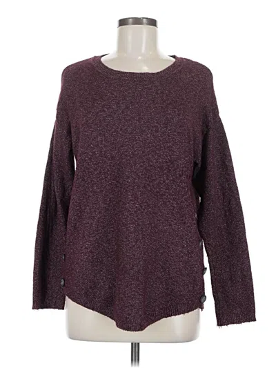 Pre-owned Fortune + Ivy Pullover Sweater In Burgundy