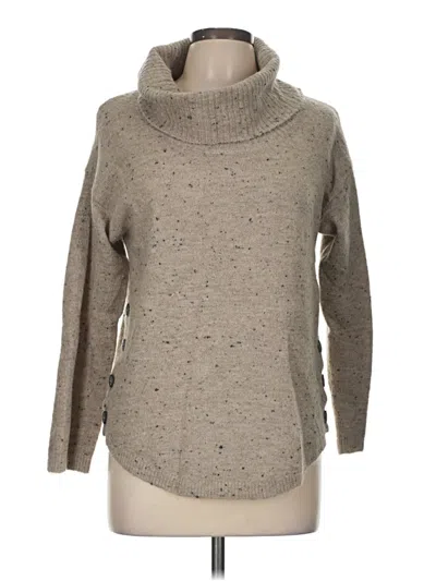 Pre-owned Fortune + Ivy Turtleneck Sweater In Brown