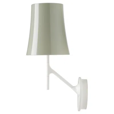 Pre-owned Foscarini Birdie Wall Lamp In Grey By Ludovica And Roberto Palomba In Gray