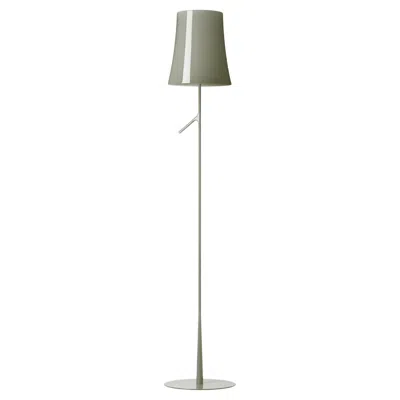 Pre-owned Foscarini Dimmable Birdie Floor Lamp In Grey By Ludovica & Roberto Palomba In Gray
