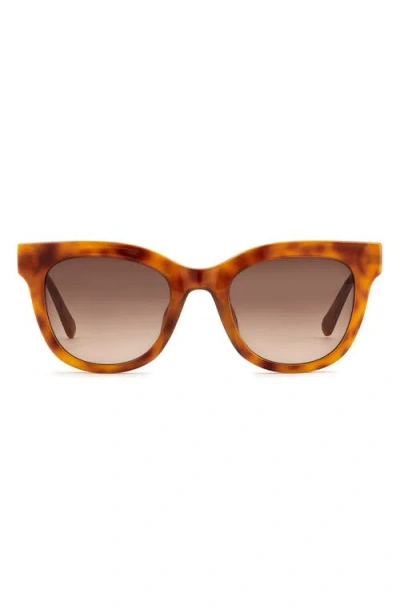 Fossil 51mm Gradient Cat Eye Sunglasses In Brown