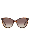 Fossil 54mm Gradient Cat Eye Sunglasses In Brown