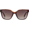 Fossil 55mm Gradient Cat Eye Sunglasses In Brown