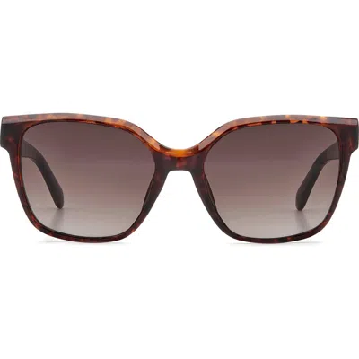 Fossil 55mm Gradient Cat Eye Sunglasses