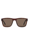 Fossil 56mm Square Sunglasses In Brown