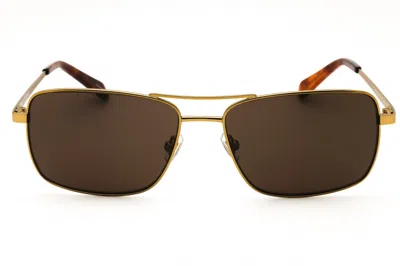 Fossil Fos 3161/g/s Sunglasses In Ant Gold A/brown