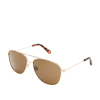 Fossil Men's Aviator Sunglasses In Brown