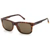 Fossil Men's Sunglasses In Brown