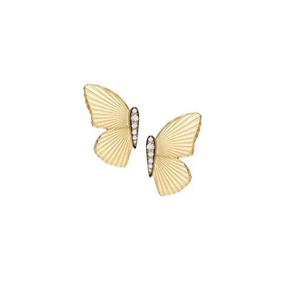 Fossil Women's Butterfly Collection Gold-tone Stainless Steel Stud Earrings