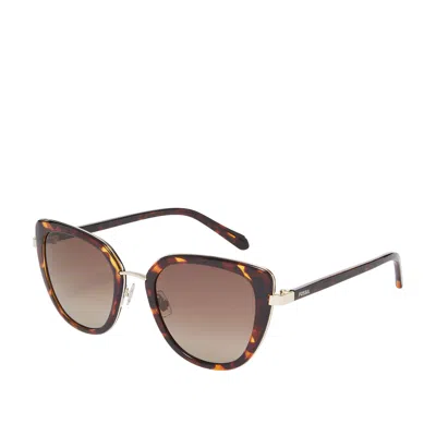 Fossil Women's Josie Cat Eye Sunglasses In Brown