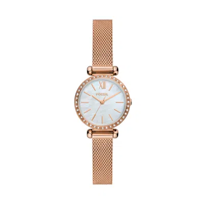 Fossil Women's Tillie Mini Three-hand, Rose Gold-tone Stainless Steel Mesh Watch In Multi