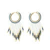 Fosterie Armada Fringe Embera Earrings In Multi