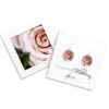 Foterra Jewelry Women's Rose Earrings In Pink In Pink