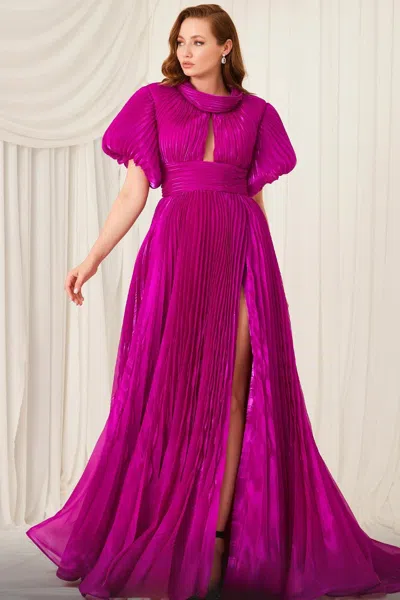 Fouad Sarkis Fully Pleated Short Sleeve Evening Gown In Pink