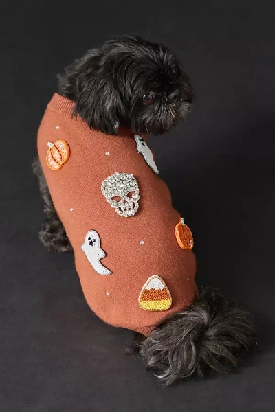 Found My Animal Beaded Icon Halloween Pet Sweater In Orange