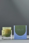 Found Notes By Anthropologie Found Notes Woody Cedar Leaf & Oak Candle In Green