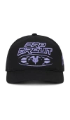 Fox Racing X Pro Circuit Snapback Hat In Black