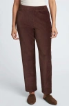 Foxcroft Caden Plush Corduroy Pants In Chocolate
