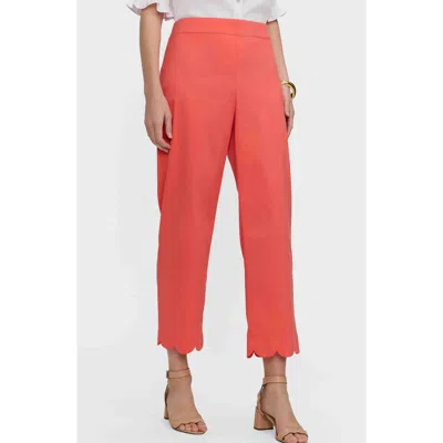 Foxcroft Elaine Scallop Hem Cotton Blend Crop Pants In Orange