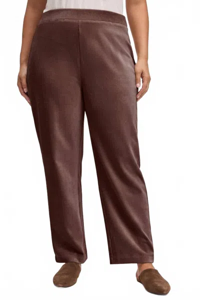 Foxcroft Women's Caden Plus Plush Cord Pant In Chocolate In Brown