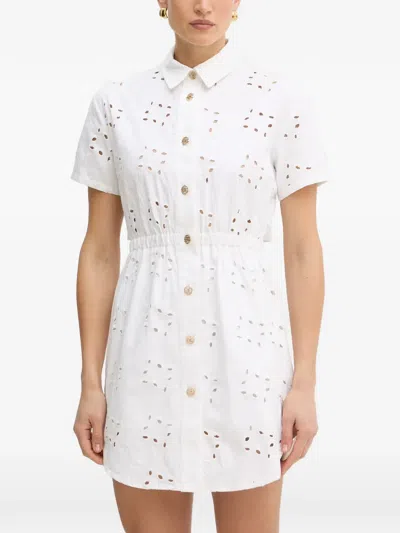 Fracomina Broderie-anglaise Mini Dress In Multi