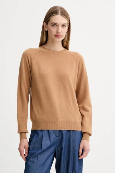 Fracomina Crewneck Knitwear In Brown