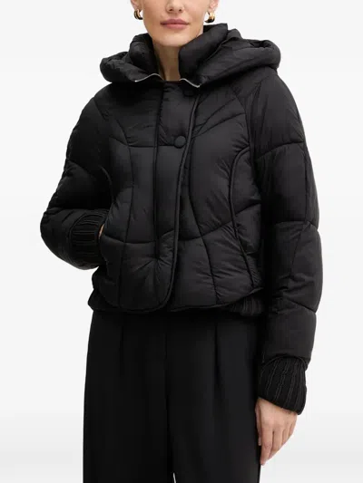 Fracomina Hooded Padded Jacket In Black