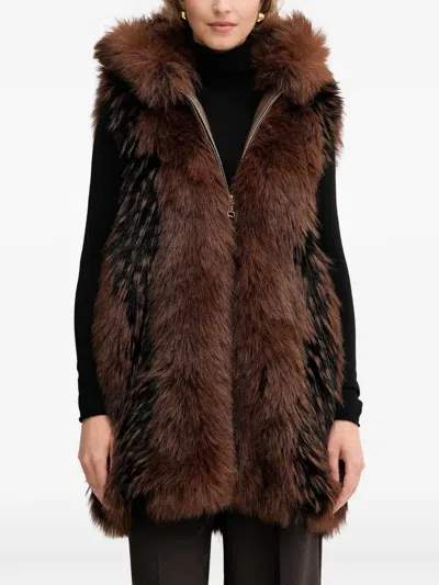 Fracomina Hooded Zip Jacket In Brown